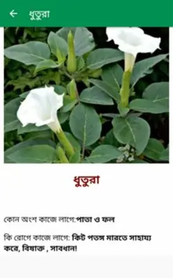 ঔষধি গাছের গুনাগুন android App screenshot 2